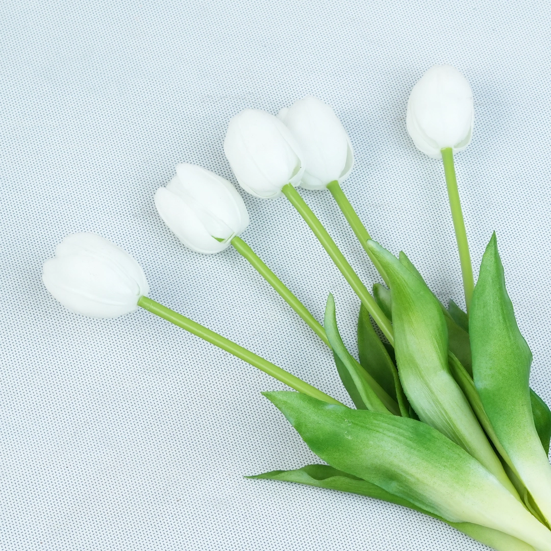 لاله لمسی وارداتی سفید — عکس ۲