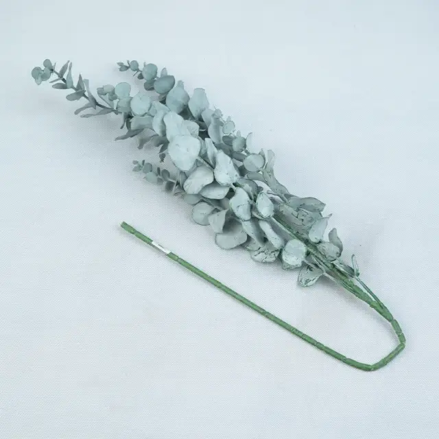 برگ لمسی وارداتی