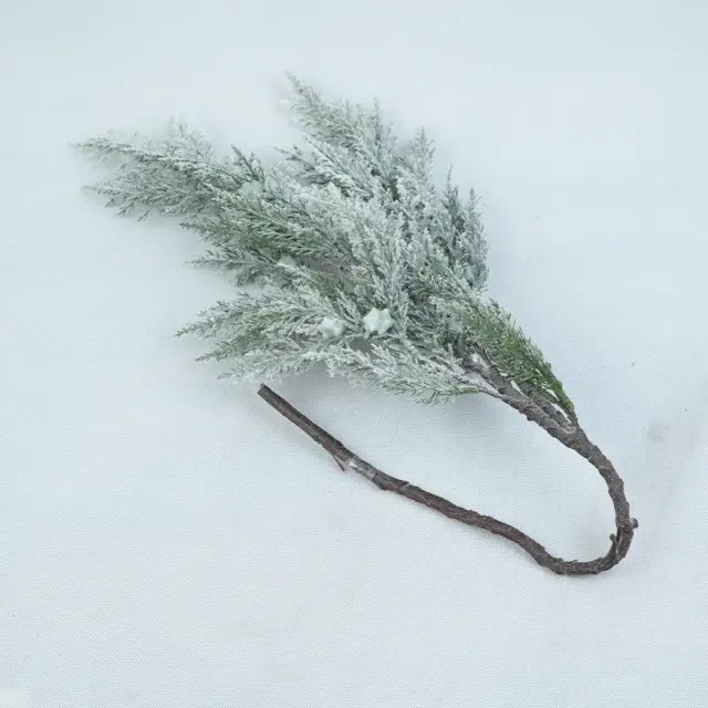 برگ کاج برفی وارداتی