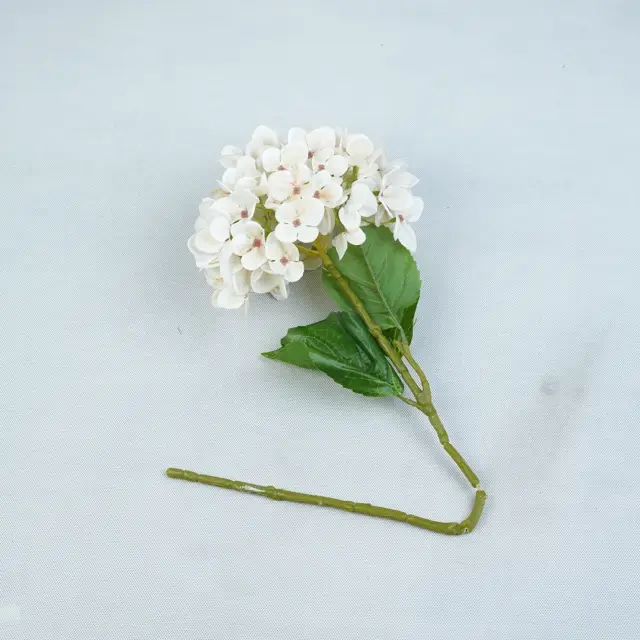 شکوفه وارداتی