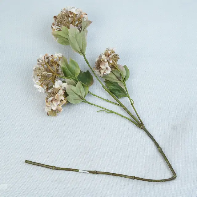 یاس نسکافه‌ای